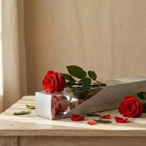 Rosa roja eterna