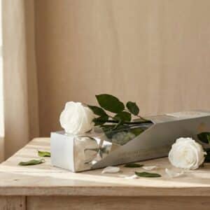 Rosa blanca eterna